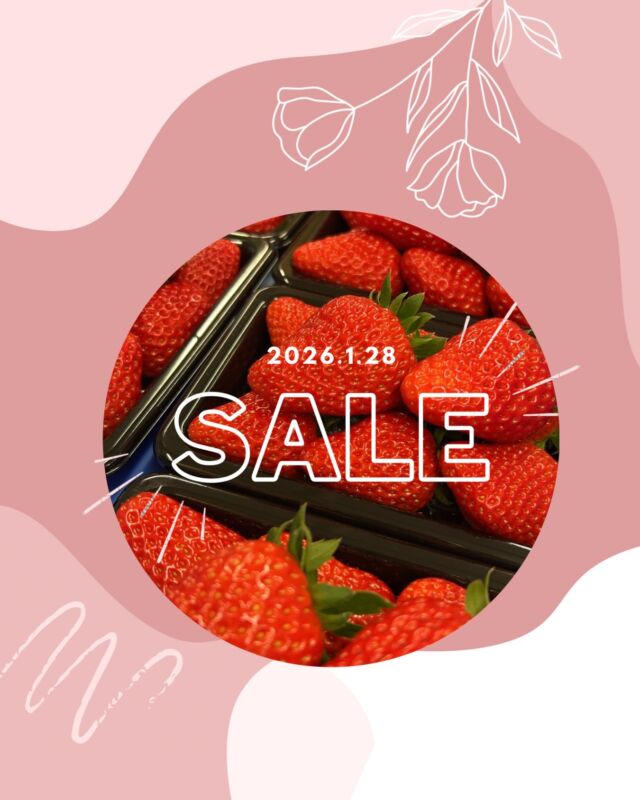 《《本日特売日》》

杉戸いちご農園SALE🍓
本日いちご収量多めのため
通常価格よりお安く販売しております◎
売り切れ次第終了となります‼️

いつもよりお得にいちごを購入できるチャンス💕
ぜひご来園をお待ちしております🍓
※いちご狩り料金の変更はございません

#🍓
#いちご直売
#本日特売日
#杉戸いちご農園
#いちご