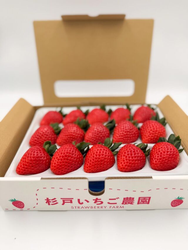 《あまりん予約受付中》

あまりんをオンラインショップにて予約販売中🍓

粒の大きさによって12-15粒のパックでお届けします💕
プロフィールのオンラインショップよりご購入いただけます。
ぜひお家で杉戸いちご農園のあまりんをお楽しみください😊
ふるさと納税でもあまりんを取り扱っております◎

#あまりん
#いちご
#杉戸いちご農園 
#いちご狩り
#🍓