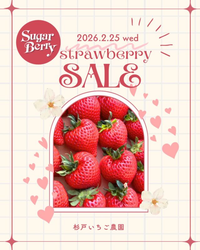 《直売いちごセール予告🍓》

2/25（水）にいちごをお買い得価格で購入いただけます◎

いつも杉戸いちご農園のご利用ありがとうございます。
たくさん収穫できそうですので、セールさせていただきます💕
売り切れ次第終了となりますので、
お早めにご来店ください◎
開店時間9:00-16:00

※いちご狩り価格の値下げはございません

#杉戸いちご農園 
#🍓
#いちご直売
#いちご農園
#いちご
