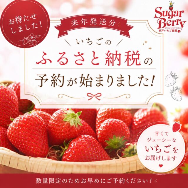おまたせいたしました！
昨年たくさんのご注文をいただきました
ふるさと納税、来年発送分の《あまりん》のご予約を開始いたしました。

数量限定のため、ぜひお早めにご予約ください！
詳しくは各種ふるさと納税サイトから、杉戸町　杉戸いちご農園で検索🔍

#ふるさと納税
#いちご
#あまりん
#杉戸いちご農園
#🍓